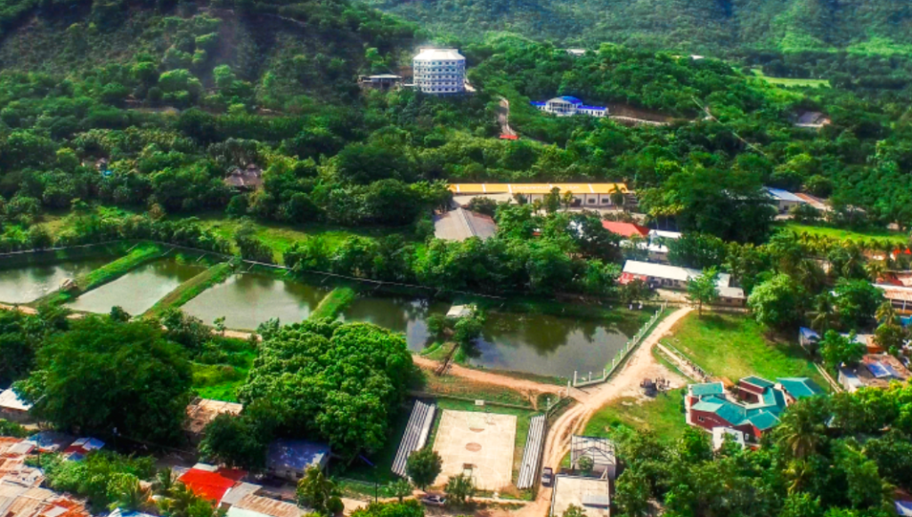 International Programs for breast cancer patients